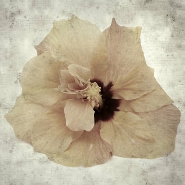  Eski kağıt arkaplan