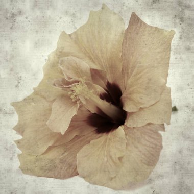  Eski kağıt arkaplan