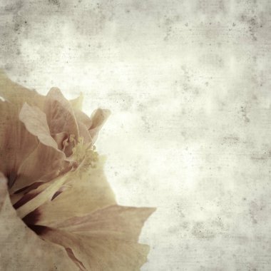  Eski kağıt arkaplan