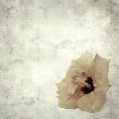  Eski kağıt arkaplan