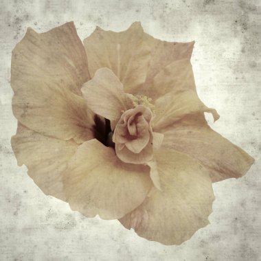  Eski kağıt arkaplan