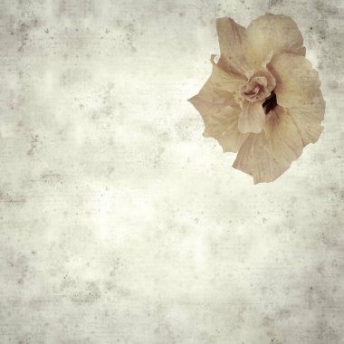  Eski kağıt arkaplan