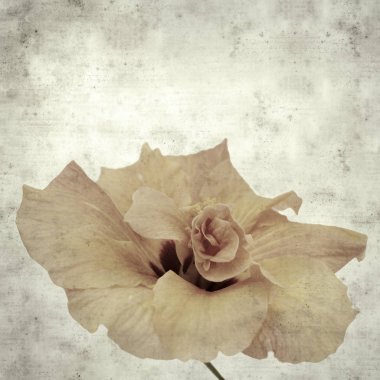  Eski kağıt arkaplan