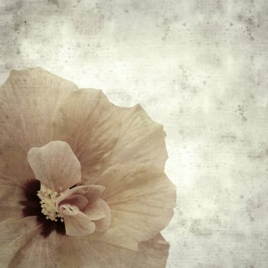  Eski kağıt arkaplan