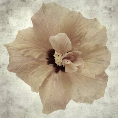  Eski kağıt arkaplan