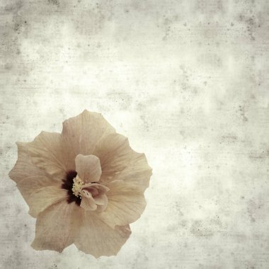  Eski kağıt arkaplan