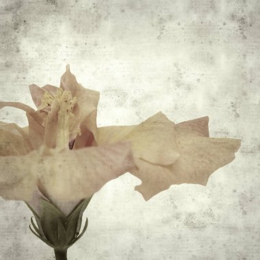  Eski kağıt arkaplan