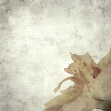  Eski kağıt arkaplan