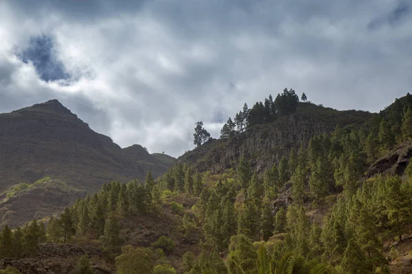 Gran Canaria, vale de Agaete — Fotografia de Stock