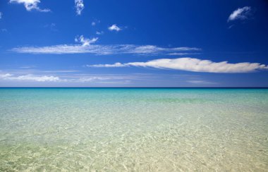 Fuerteventura, Kanarya Adaları, Playa del Matorral Plajı