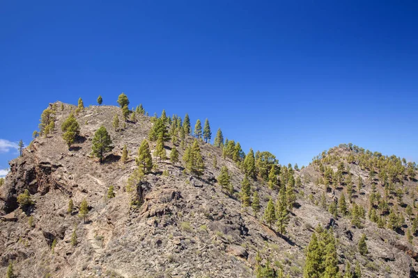 Gran Canaria, junio — Foto de Stock