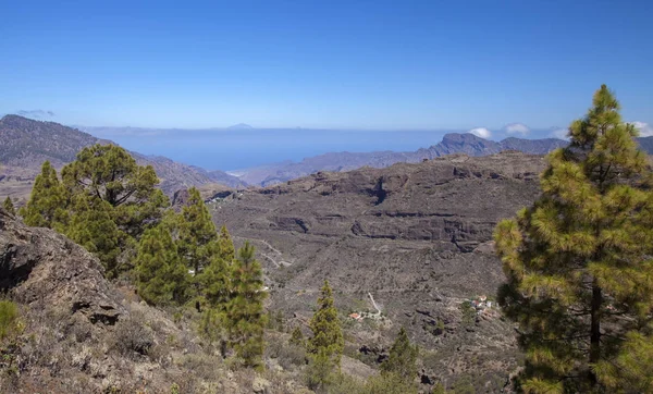 Gran Canaria, junio — Foto de Stock