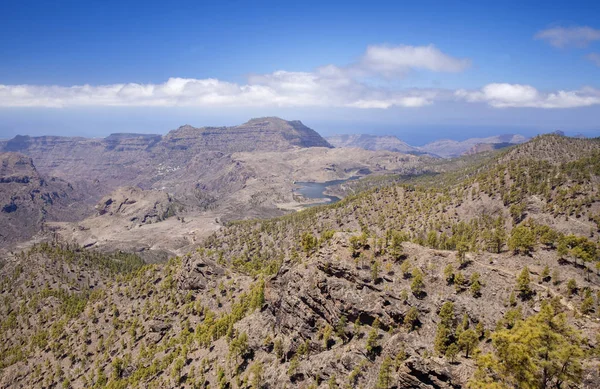 Gran Canaria, czerwiec — Zdjęcie stockowe