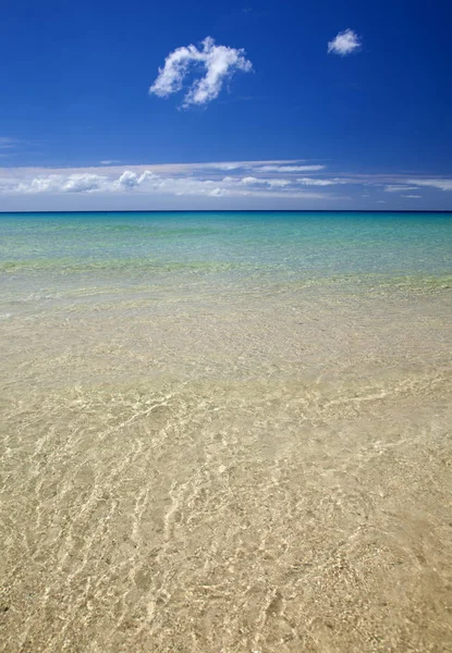 Fuerteventura, Kanarya Adaları, Playa del Matorral Plajı