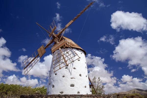 Fuerteventura, windmühle bei el roque — Stockfoto