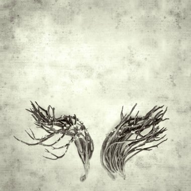  Eski kağıt arkaplan