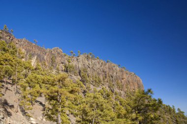 Gran Canaria, July