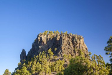 Gran Canaria, July