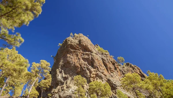 Gran Canaria, julio —  Fotos de Stock