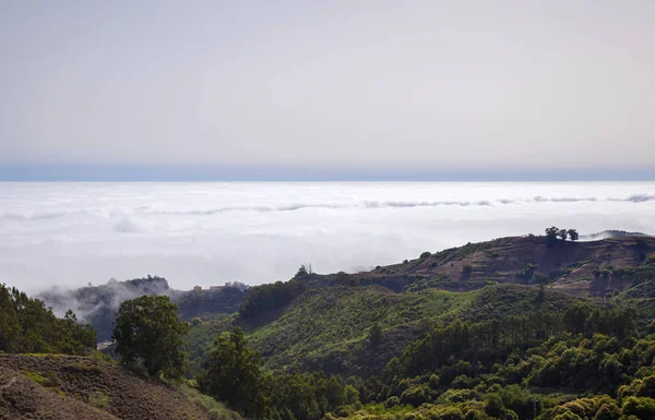 Gran Canaria, Juli — Stok Foto