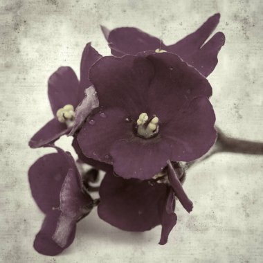  Eski kağıt arkaplan