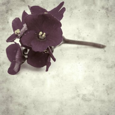  Eski kağıt arkaplan