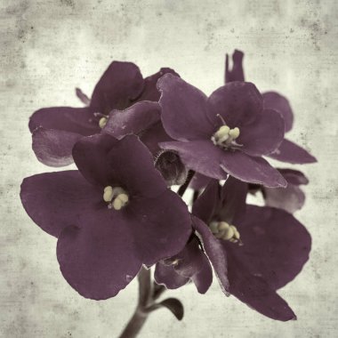  Eski kağıt arkaplan