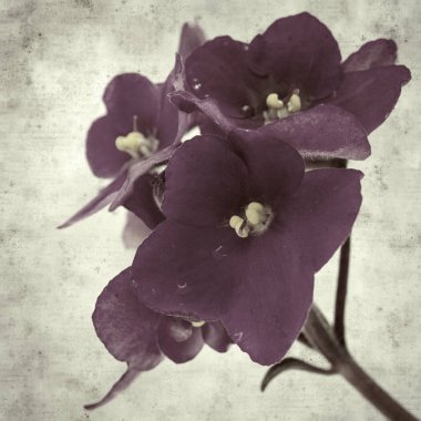  Eski kağıt arkaplan