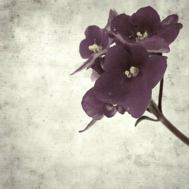  Eski kağıt arkaplan