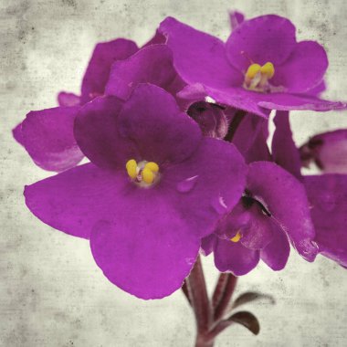  Eski kağıt arkaplan