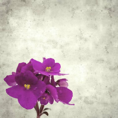  Eski kağıt arkaplan