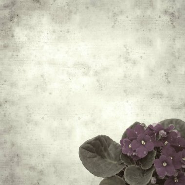  Eski kağıt arkaplan