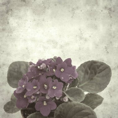  Eski kağıt arkaplan