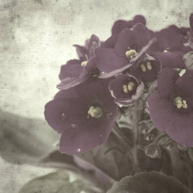  Eski kağıt arkaplan