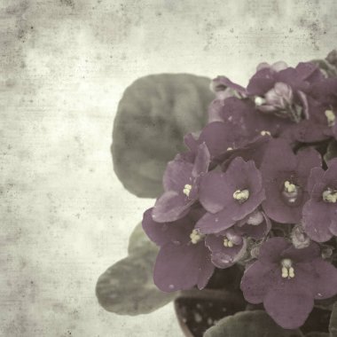  Eski kağıt arkaplan