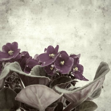  Eski kağıt arkaplan