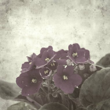  Eski kağıt arkaplan