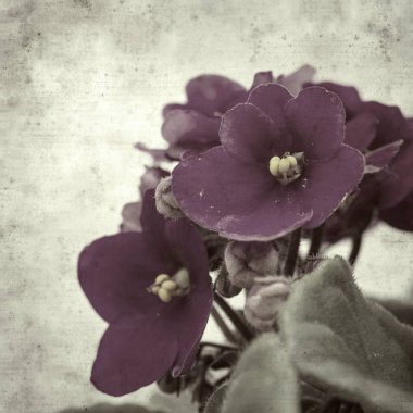  Eski kağıt arkaplan