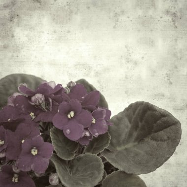  Eski kağıt arkaplan