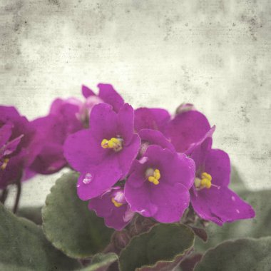  Eski kağıt arkaplan