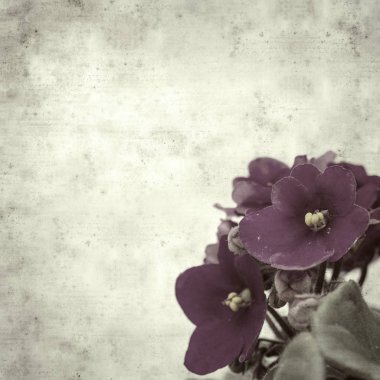  Eski kağıt arkaplan