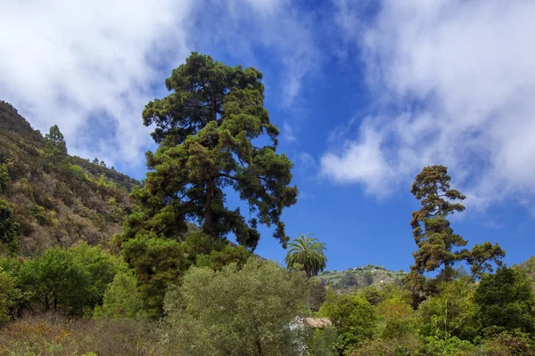 Gran Canaria, agosto —  Fotos de Stock