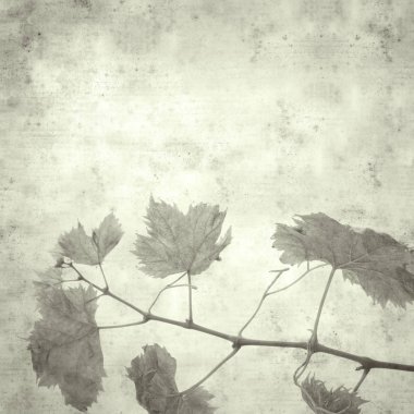  Eski kağıt arkaplan