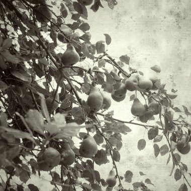  Eski kağıt arkaplan