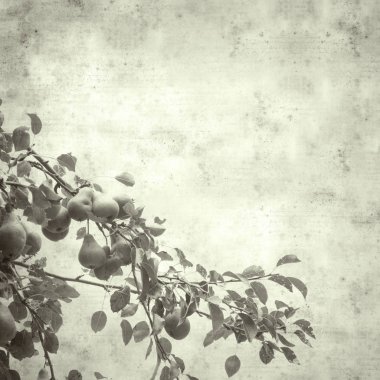  Eski kağıt arkaplan