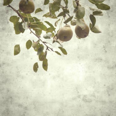  Eski kağıt arkaplan