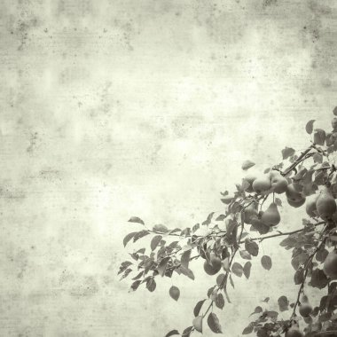  Eski kağıt arkaplan