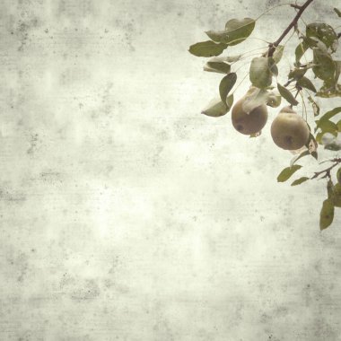  Eski kağıt arkaplan