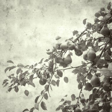  Eski kağıt arkaplan