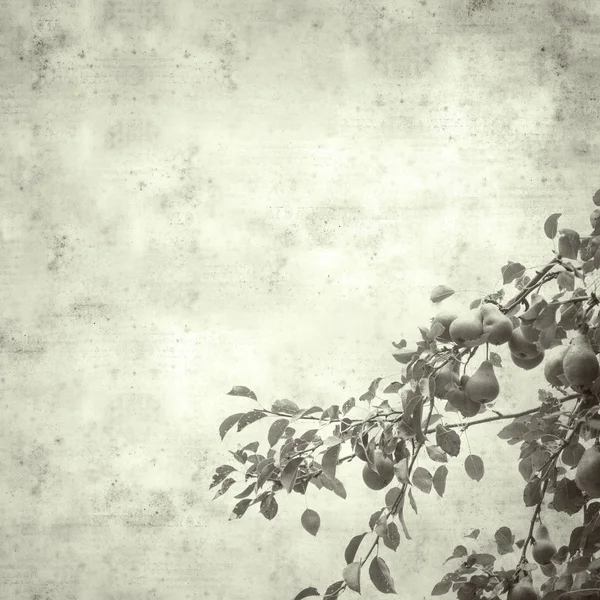  Eski kağıt arkaplan